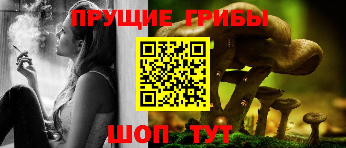 купить наркоту  Галлюциногенные грибы мицелий  Вход с VPN  Заводоуковск 