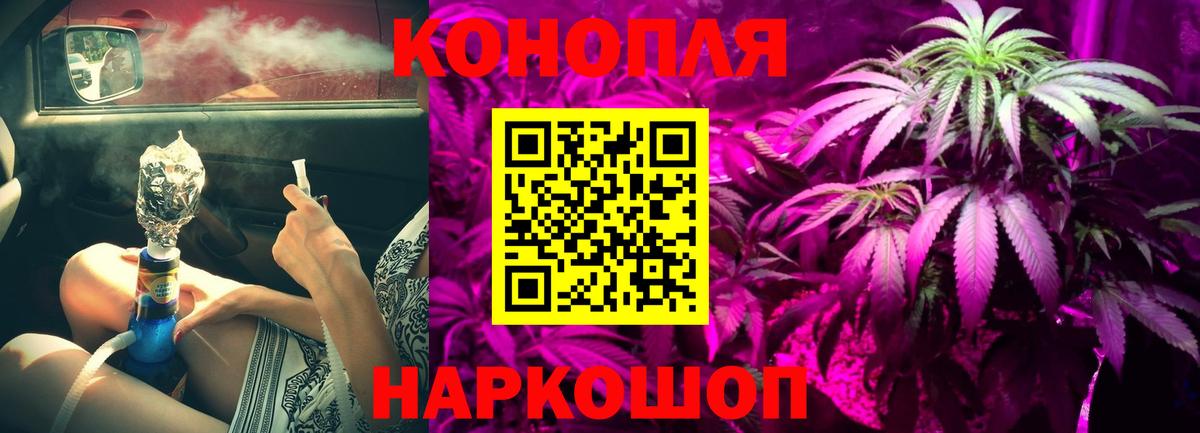 Бошки Шишки White Widow  Конопля конопля  Заводоуковск  Вход с VPN  Каннабис Ganja 